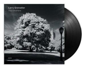 LP deska Larry Grenadier - The Gleaners (LP) - 1