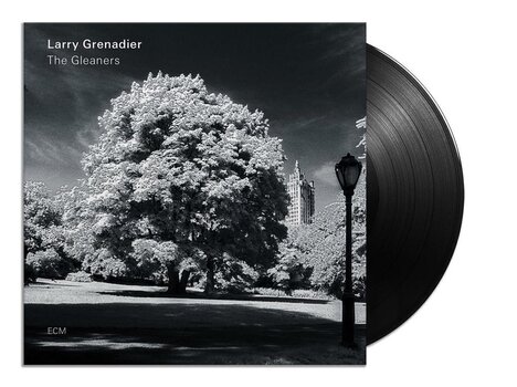 LP deska Larry Grenadier - The Gleaners (LP) - 2
