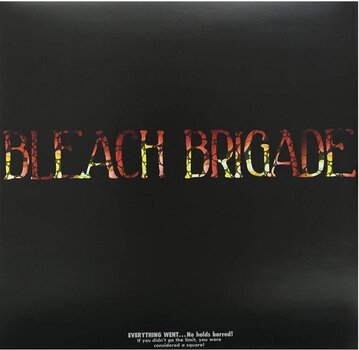 LP ploča We Are Hex - Bleach Brigade (LP) - 2