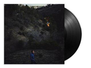 Disque vinyle Kevin Morby - Singing Saw (Limited Edition) (LP) - 1