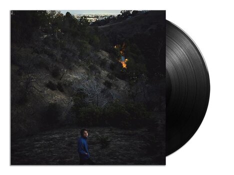 Disque vinyle Kevin Morby - Singing Saw (Limited Edition) (LP) - 2