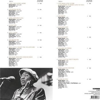 LP deska Muddy Waters - The R&B Hits (LP) - 2