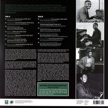 LP ploča Various Artists - The Rough Guide To Barrelhouse Blues (Limited Edition) (LP) - 2