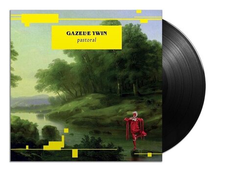 LP ploča Gazelle Twin - Pastoral (LP) - 2