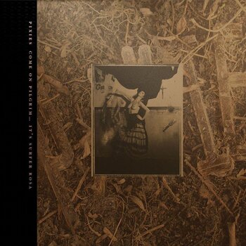 Płyta winylowa Pixies - Come On Pilgrim... It's Surfer Rosa (Reissue) (Gold Coloured) (3 LP) - 2