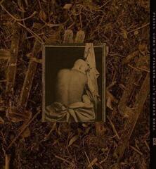 Płyta winylowa Pixies - Come On Pilgrim... It's Surfer Rosa (Reissue) (Gold Coloured) (3 LP) - 2