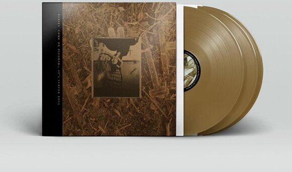 Płyta winylowa Pixies - Come On Pilgrim... It's Surfer Rosa (Reissue) (Gold Coloured) (3 LP) - 4