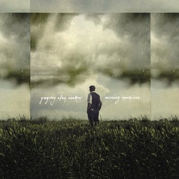 Schallplatte Gregory Alan Isakov - Evening Machines (Limited Edition) (180 g) (LP) - 2