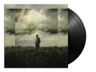 Schallplatte Gregory Alan Isakov - Evening Machines (Limited Edition) (180 g) (LP) - 2