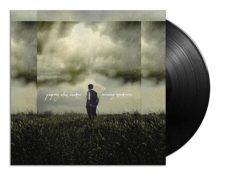 Schallplatte Gregory Alan Isakov - Evening Machines (Limited Edition) (180 g) (LP) - 3