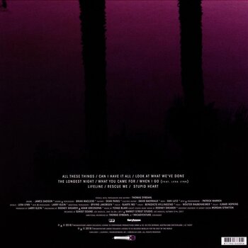 Δίσκος LP Thomas Dybdahl - All These Things (LP) - 2