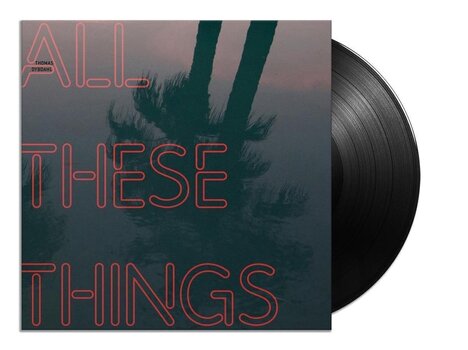Δίσκος LP Thomas Dybdahl - All These Things (LP) - 3