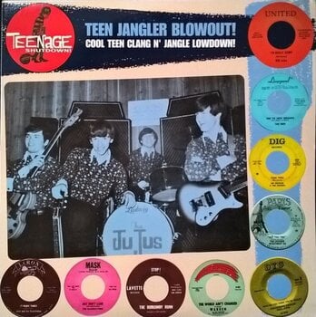 Vinyl Record Various Artists - Teen Jangler Blowout! (LP) - 2