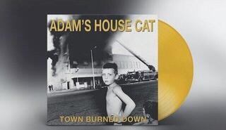 Płyta winylowa Adam's House Cat - Town Burned Down (Translucent Yellow Coloured) (LP) - 1