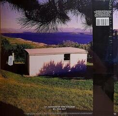 Vinyylilevy The Beta Band - The Beta Band (Reissue) (3 LP + 2 CD) - 2