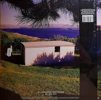 Vinyylilevy The Beta Band - The Beta Band (Reissue) (3 LP + 2 CD) - 3