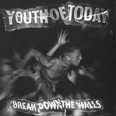 LP deska Youth Of Today - Break Down The Walls (Limited Edition) (LP) - 1