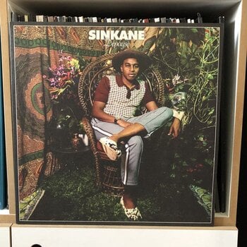 Disco in vinile Sinkane - Dépaysé (LP) - 2