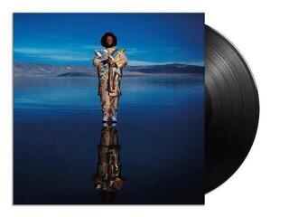 Płyta winylowa Kamasi Washington - Heaven And Earth (5 LP) - 2