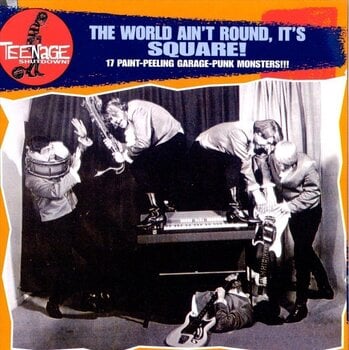 Vinyl Record Various Artists - The World Ain't Round, It's Square! (LP) - 2