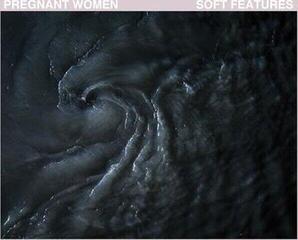 Płyta winylowa Pregnant Women - Soft Features (LP) - 1