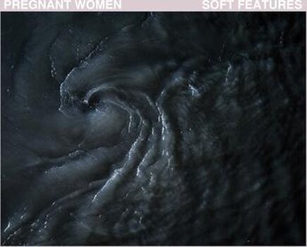 Płyta winylowa Pregnant Women - Soft Features (LP) - 2