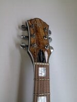 Michael Kelly Hybrid Special Spalted M Spalted Maple Puoliakustinen kitara