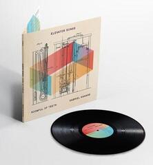 Грамофонна плоча Gabriel Kahane & Roomful Of Teeth - Elevator Songs (140 g) (LP) - 1