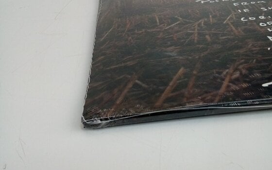 LP ploča Zach Bryan - American Heartbreak (3 LP) (Samo otvarano) - 5