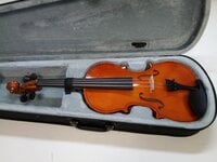 Pasadena SGV 015 4/4 Akustische Violine