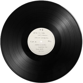 Schallplatte Paul McCartney - The Boys Of Dungeon Lane (LP) - 3