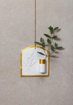 Ilmakuivuva savi Darwi Modeling Set Ilmakuivuva savi - 10