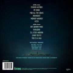 Vinyl Record Foo Fighters - Norrsken (Indie Exclusive) (Limited Edition) (Coloured) (LP) - 1