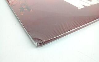 Disque vinyle Mick Gordon - Doom (Original Game Soundtrack) (Red Coloured) (2 LP) (Juste déballé) - 3