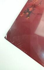 Disque vinyle Mick Gordon - Doom (Original Game Soundtrack) (Red Coloured) (2 LP) (Juste déballé) - 4