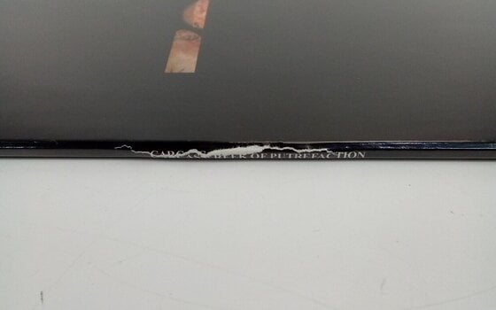 Vinüülplaat Carcass - Reek Of Putrefaction (Remastered) (LP) (Äsja lahti pakitud) - 3