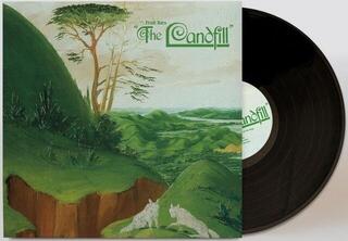 Vinüülplaat Fruit Bats - The Landfill (LP) - 1