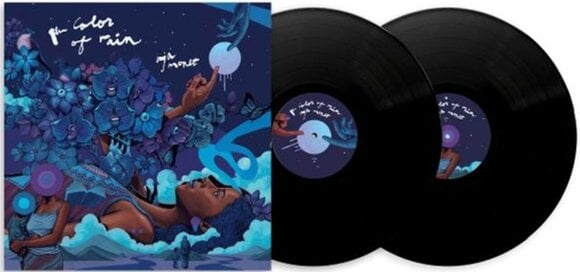 Vinüülplaat Aja Monet - The Color Of Rain (2 LP) - 2