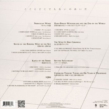 Vinüülplaat Tim Allhoff - Between Here & Nowhere (Gatefold) (Clear Coloured) (2 LP) - 2