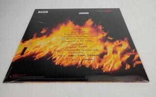 Vinylplade Pantera - Reinventing The Steel (180g) (Reissue) (LP) (Kun pakket ud) - 3