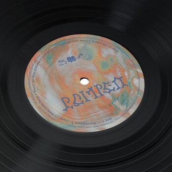 Schallplatte Earl Sweatshirt & Mike & Surf Gang - Pompeii // Utility (2 LP) - 9