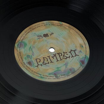 Schallplatte Earl Sweatshirt & Mike & Surf Gang - Pompeii // Utility (2 LP) - 10