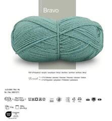 Knitting Yarn Schachenmayr Bravo 8377 Knitting Yarn - 1