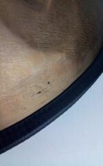 Handpan Sela Harmony D Amara Handpan (Déjà utilisé) - 2