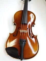 Vioară acustică GEWA Allegro 4/4 Vioară acustică (Folosit) - 1