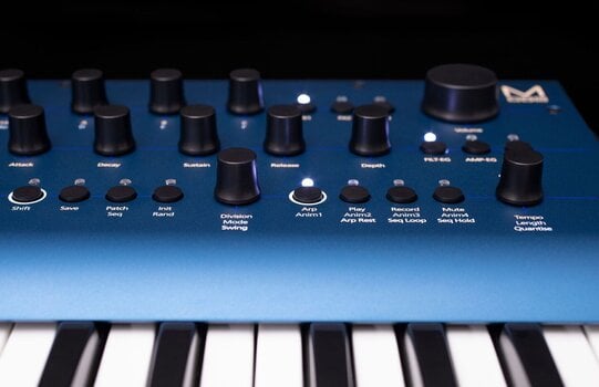 Synthesizer Modal Electronics Cobalt 8 Synthesizer Blue - 9