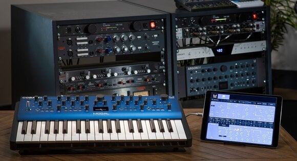 Synthesizer Modal Electronics Cobalt 8 Synthesizer Blue - 12