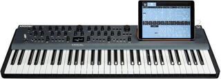Syntezatory Modal Electronics Argon 8X Syntezatory Grey - 5