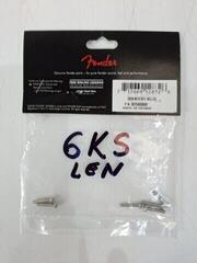 Feder / Schrauben Fender American Vintage Stratocaster Feder / Schrauben (Neuwertig) - 1