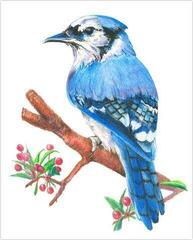 Tapyba pagal skaičius Royal & Langnickel Tapyba pagal skaičius 31 Vnt. - 3